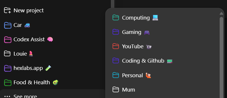 Project folder bug screenshot